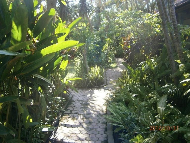 Guest house Adus